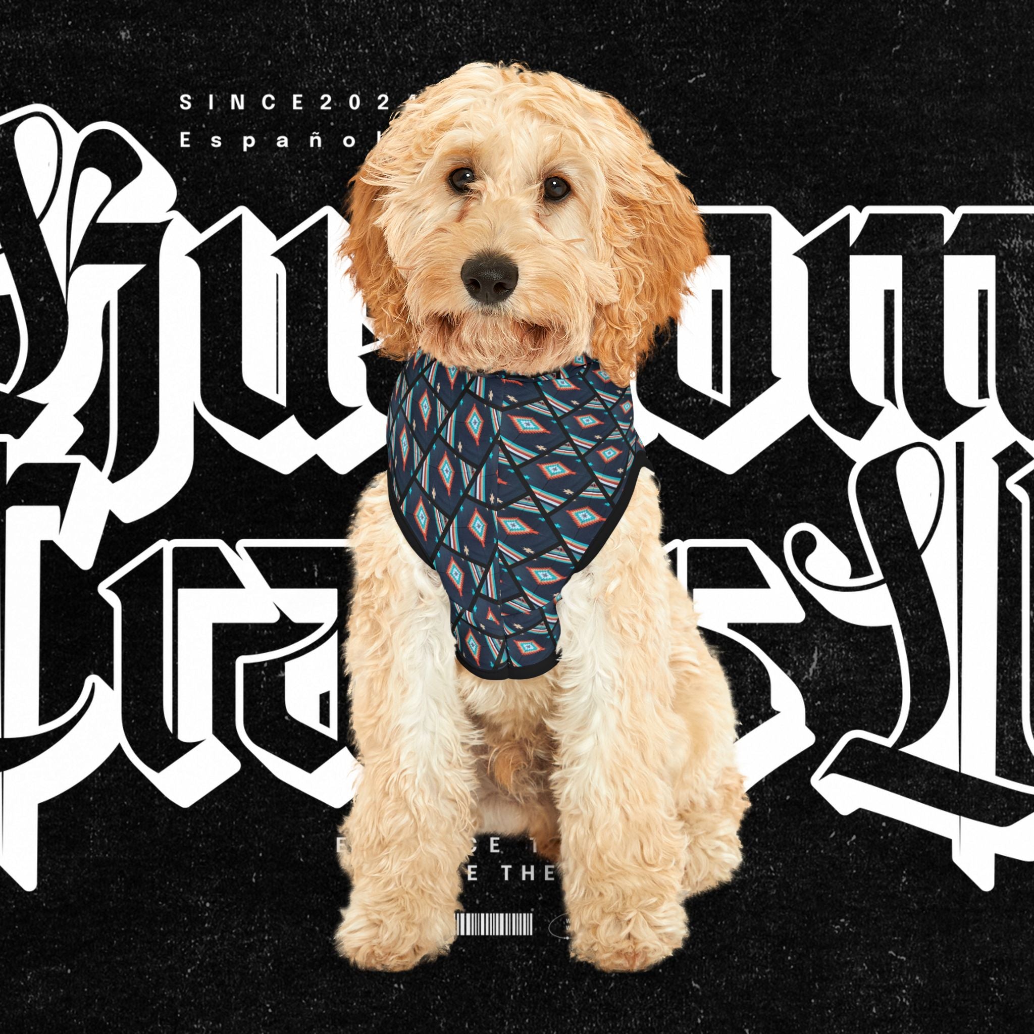 Southwest for Cats and Dogs